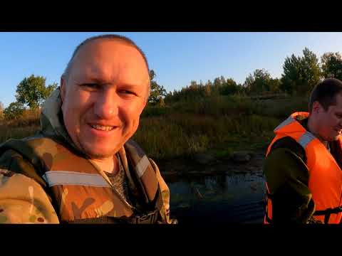 Видео: Приключения на реке Луга ; нашли пляж со следами медведя!