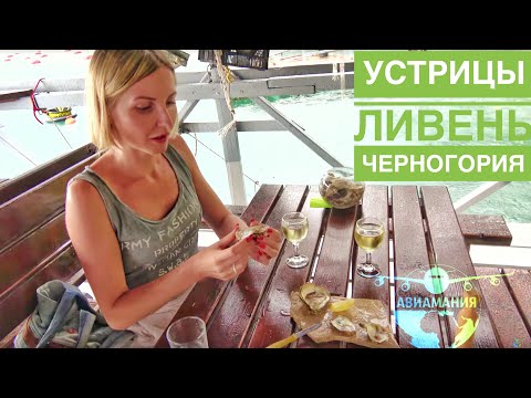 Видео: Устричная ферма Черногория | пробуем устрицы и мидии |#Авиамания Montenegro