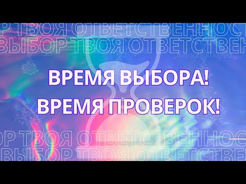 Видео: Время выбора!  Время проверок!