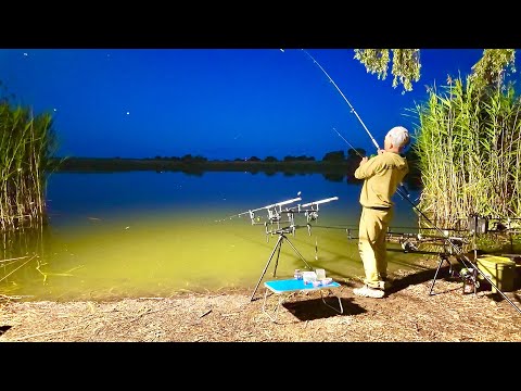 Видео: Рижі ПОРОСЯТА ДИКОГО ДНІПРА ч 2!!!