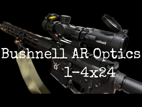 Видео: Обзор прицела Bushnell AR Optics 1-4x24, тест на 100-300м. Bushnell AR Optics 1-4x24 scope review.
