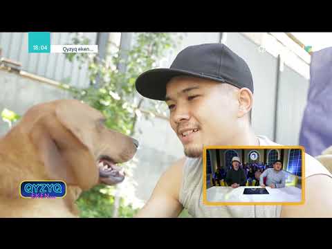 Видео: Qyzyq eken... (Қызық екен...). 5-маусым. 13-бағдарлама