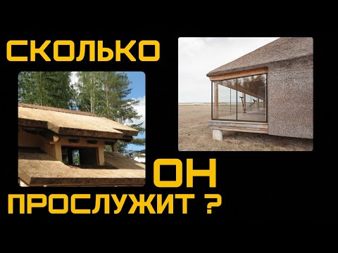 Видео: Камыш. Сколько он вам прослужит? Рогоз, тростник, 100% ЭКО!