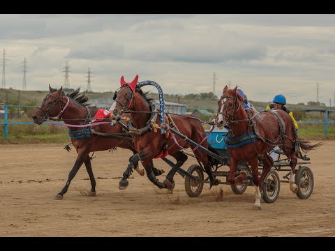 Видео: Русская тройка - 2-я пара, 2400 м