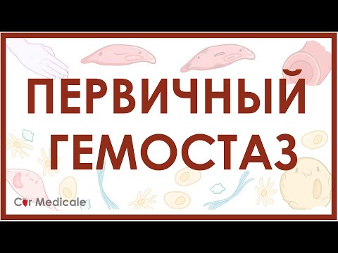 Видео: Первичный гемостаз или формирование тромбоцитарной пробки - свертывание крови, физиология