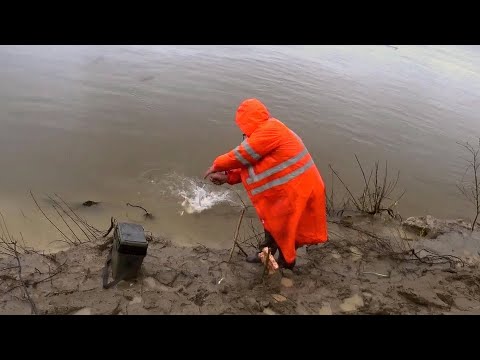 Видео: Ловим на РЕЗИНКУ ВЕСНОЙ, ВСЁ ПРОСТО | Эта снасть ловит СУДАКОВ и ЩУК | Бешеный клёв на резинку