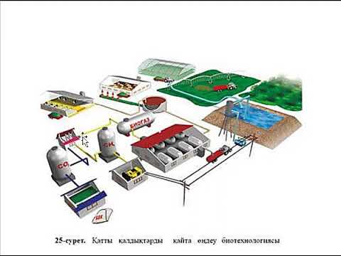 Видео: ЭКОЛОГИЯЛЫҚ ТАЗА ӨНДІРІСТЕРДІ ЖОБАЛАУ
