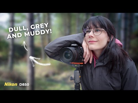 Видео: Испытания британской зимней фотографии.