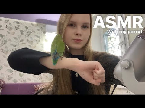 Видео: АСМР с моим попугаем 🦜/ASMR with my parrot 🦜 