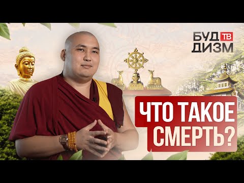 Видео: Выпуск 17 – Что такое смерть?