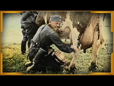 Видео: Дневник немецкого солдата на Восточном фронте. Часть 4