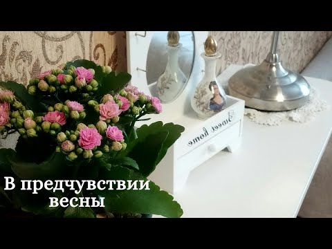 Видео: В предчувствии весны