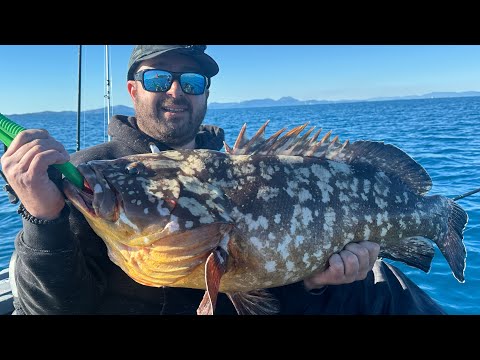 Видео: 10kg 🔥Рофос 🇬🇷