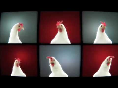 Видео: Chicken Song -Geco Remix 10 часов HD