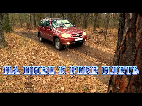 Видео: НА НИВЕ К РЕКЕ ИЛЕТЬ.  НОЯБРЬ 2025