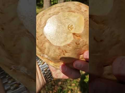 Видео: Чаша из Сувеля Сосны! #woodcarving #сувельсосны #чашаизсувеля #чаша #woodworking