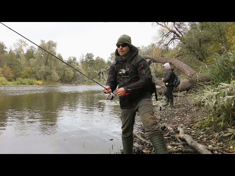 Видео: Ловля Окуня на Спінінг. Клюють Один за Одним