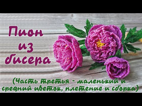 Видео: ПИОН из БИСЕРА - мастер класс, урок 3/3