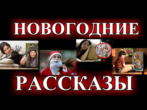 Видео: НОВОГОДНИЕ  ДУШЕВНЫЕ  И ОПТИМИСТИЧЕСКИЕ  РАССКАЗЫ❤️ДЕД МОРОЗИХА❤️ШОКОЛАДКА❤️НОВЫЙ ГОД @TEFI РАССКАЗЫ