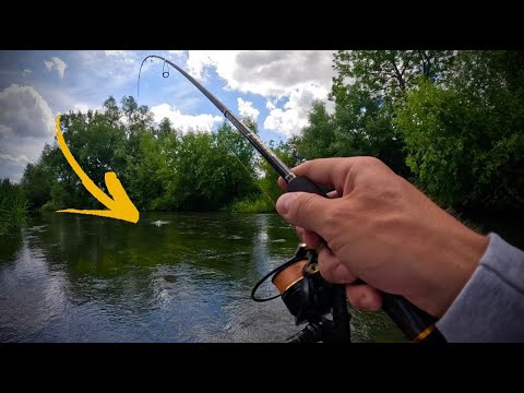 Видео: ШАЛЕННІ КЛЮВАННЯ ГОЛОВНЯ НА Lucky John Haira Tiny Shallow Pilot 33F|ДИКИЙ ПЕРЕКАТ