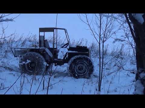Видео: Проверка капканов на бобра.