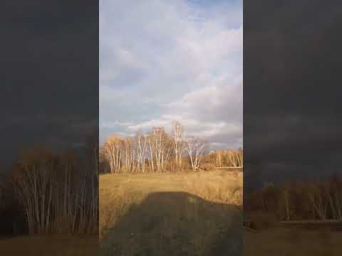 Видео: #осень