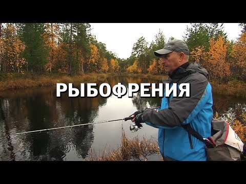 Видео: РЫБОФРЕНИЯ