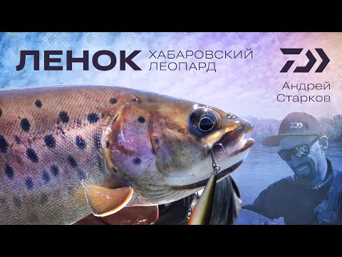 Видео: Ленок - Хабаровский леопард / Андрей Старков