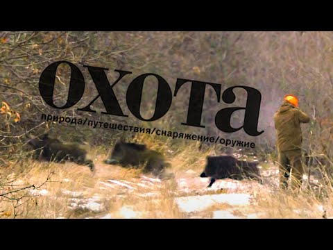 Видео: ЭПИЧНАЯ ОХОТА