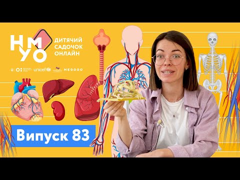 Видео: Дитячий садок онлайн НУМО - Випуск 83