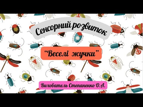 Видео: Сенсорний розвиток "Веселі жучки". Ранній вік