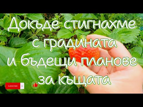 Видео: Пролет в градината и бъдещи планове за ремонт на къщата