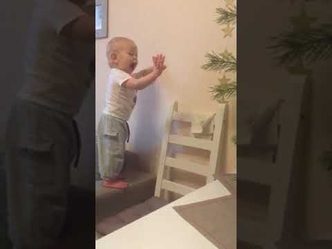 Видео: Когда очень хочется подергать ёлку, но нельзя)))