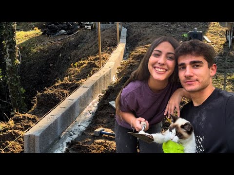 Видео: Начало нового проекта | Восстановление заброшенной фермы 🧱