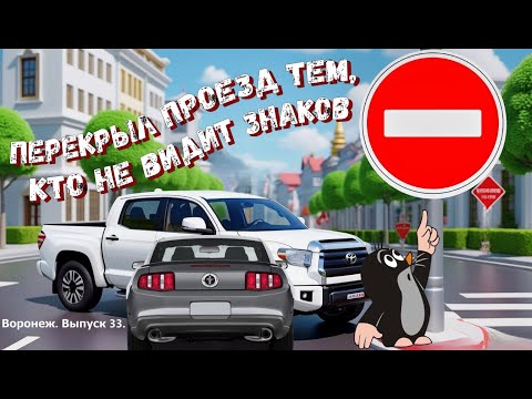 Видео: Перекрываю проезд под знак "кирпич" невнимательным водителям. Воронеж, выпуск 33