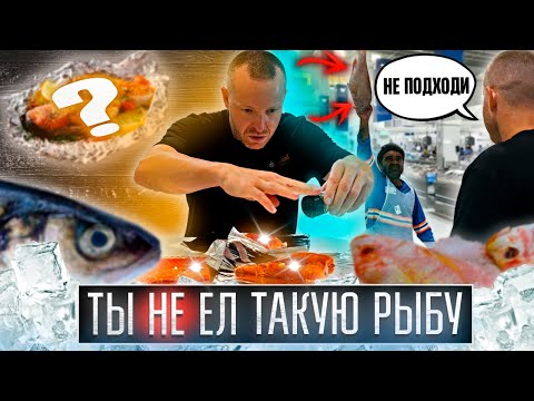 Видео: От рыбалки до кухни ► Рецепт Сибаса и Сёмги от ТОП рыбака ОАЭ ► Попали на самый большой рынок Дубая!