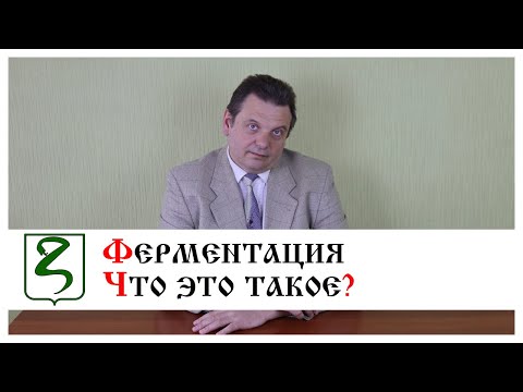 Видео: ФЕРМЕНТАЦИЯ/ ЧТО ЭТО ТАКОЕ? ОТЛИЧИЕ ОТ БРОЖЕНИЯ