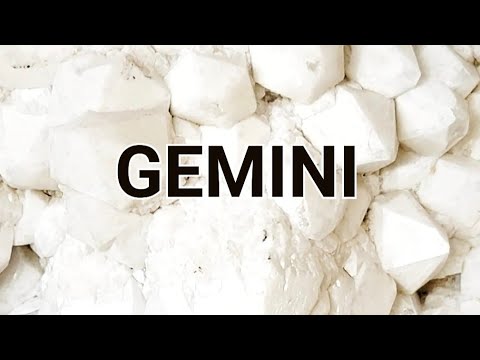 Видео: БЛИЗНЕЦЫ (или): Одумаются ли они?