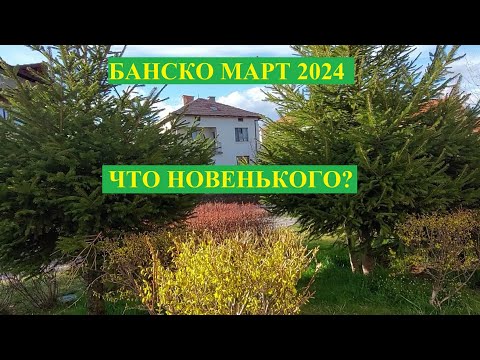 Видео: БАНСКО МАРТ 2024: ЧТО НОВОГО?