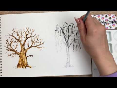 Видео: Рисунок 2 видов деревьев акварелью