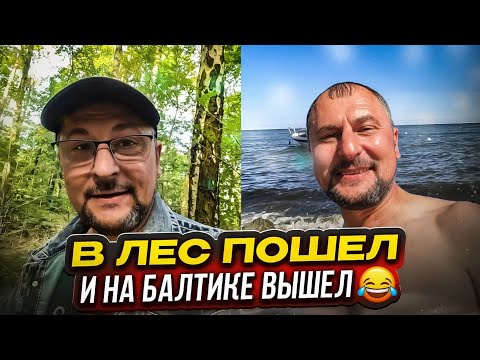 Видео: Пошел по грибы, оказался на море. Кемпинг на Балтике. Отдохнул,расслабился. Влог.Германия