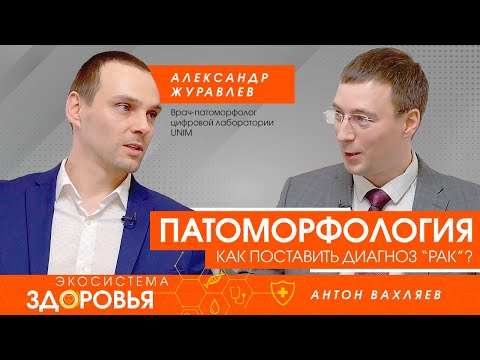 Видео: Патоморфология. Как поставить диагноз "рак"?
