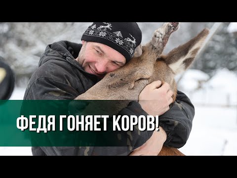 Видео: Фермер вырастил ОЛЕНЯ и катает его на бусе! // Жизнь на хуторе, TikTok и сложный характер