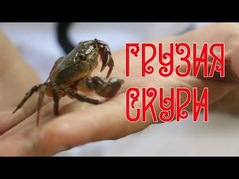 Видео: Грузия. Скури. горы Грузии райская природа