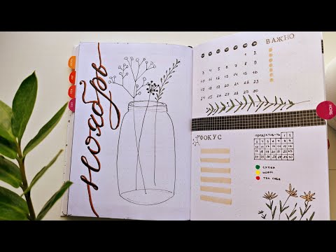 Видео: оформление ежедневника на НОЯБРЬ 2025 | bullet journal