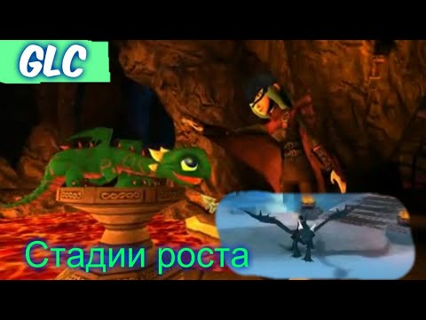 Видео: School of Dragons: Стадии роста дракона