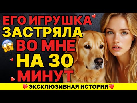 Видео: Щенок и его игрушка занимали меня 30 минут без остановки
