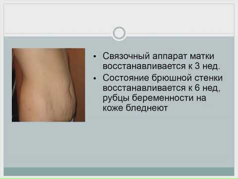 Видео: Физиология послеродового периода.