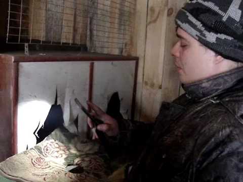 Видео: //полный обзор курятника// много говорю// когда в душе селянин//