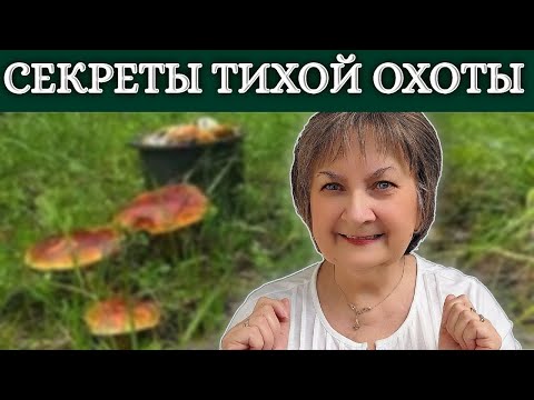 Видео: Секреты тихой охоты: где найти благородные грибы и как не потеряться в лесу